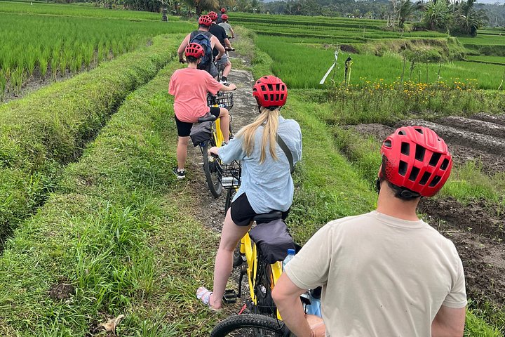 E-Bike-Tour durch die Reisterrassen und Dörfer von Ubud, Indonesien, Foto 14 | wizardtrip