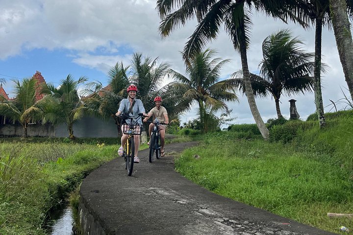 E-Bike-Tour durch die Reisterrassen und Dörfer von Ubud, Indonesien, Foto 16 | wizardtrip
