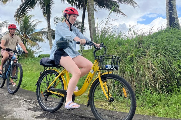 E-Bike-Tour durch die Reisterrassen und Dörfer von Ubud, Indonesien, Foto 17 | wizardtrip