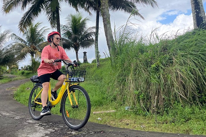 E-Bike-Tour durch die Reisterrassen und Dörfer von Ubud, Indonesien, Foto 18 | wizardtrip