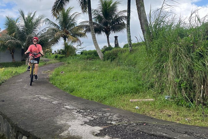 E-Bike-Tour durch die Reisterrassen und Dörfer von Ubud, Indonesien, Foto 19 | wizardtrip