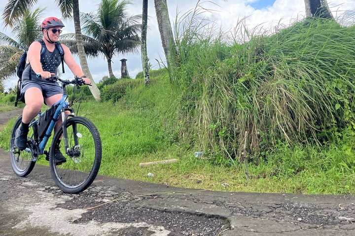 E-Bike-Tour durch die Reisterrassen und Dörfer von Ubud, Indonesien, Foto 20 | wizardtrip