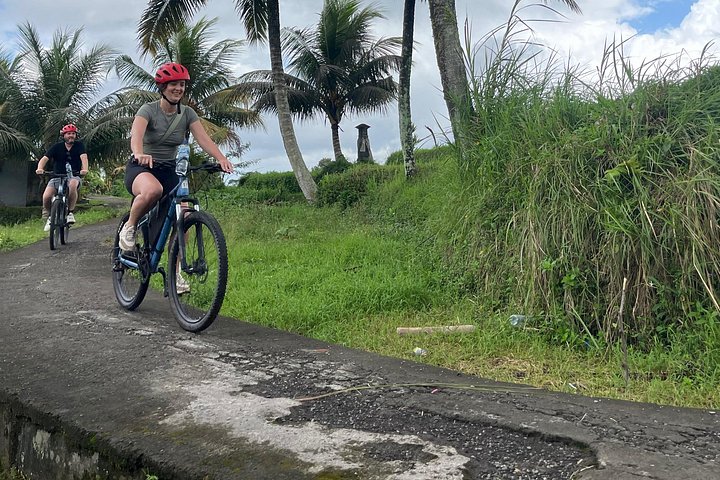 E-Bike-Tour durch die Reisterrassen und Dörfer von Ubud, Indonesien, Foto 22 | wizardtrip