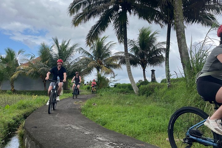 E-Bike-Tour durch die Reisterrassen und Dörfer von Ubud, Indonesien, Foto 23 | wizardtrip