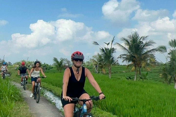E-Bike-Tour durch die Reisterrassen und Dörfer von Ubud, Indonesien, Foto 33 | wizardtrip