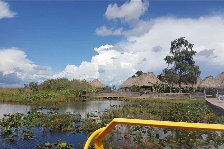 Aventura en el Parque Nacional Everglades con aerodeslizador, avistamiento de fauna y caminatas guiadas por la naturaleza, foto 12 | wizardtrip