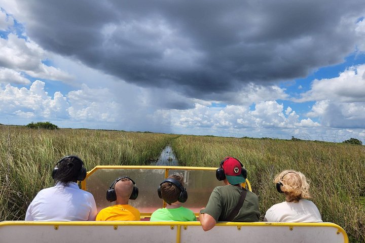 Aventura en el Parque Nacional Everglades con aerodeslizador, avistamiento de fauna y caminatas guiadas por la naturaleza, foto 13 | wizardtrip