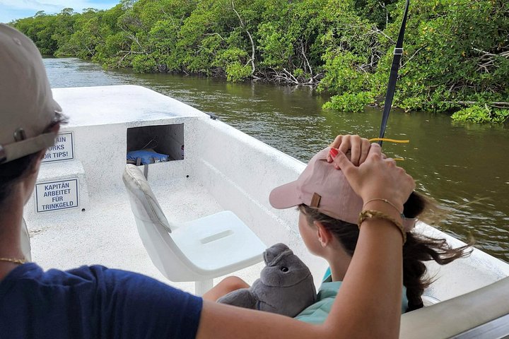 Aventura en el Parque Nacional Everglades con aerodeslizador, avistamiento de fauna y caminatas guiadas por la naturaleza, foto 14 | wizardtrip