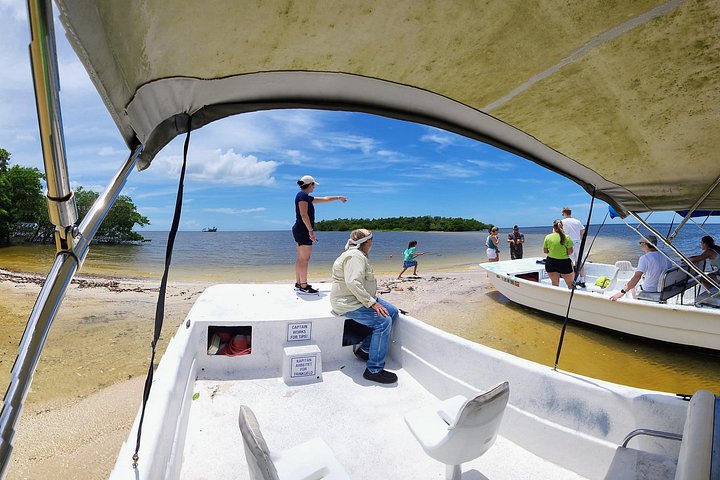Aventura en el Parque Nacional Everglades con aerodeslizador, avistamiento de fauna y caminatas guiadas por la naturaleza, foto 16 | wizardtrip