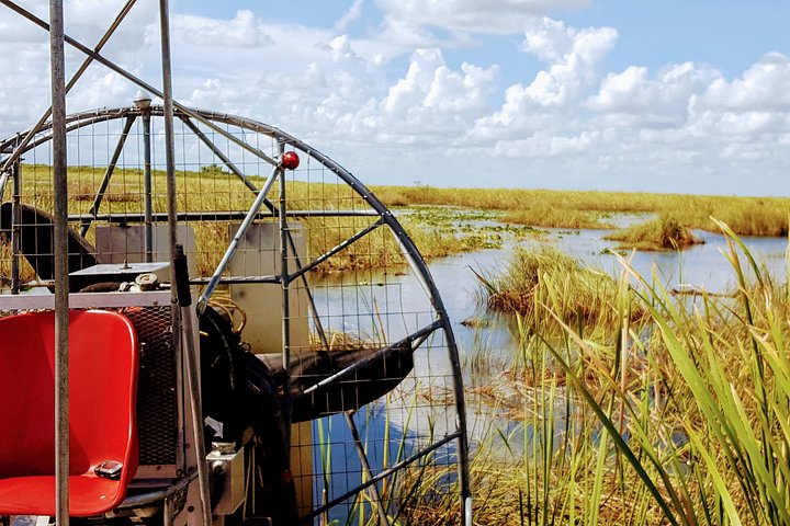 Aventura en el Parque Nacional Everglades con aerodeslizador, avistamiento de fauna y caminatas guiadas por la naturaleza, foto 18 | wizardtrip