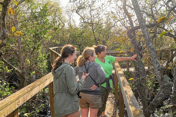 Erkunden Sie den einzigartigen Everglades National Park mit einer Airboat-Fahrt und einer Tierbeobachtungstour von Miami aus, Foto 7 | wizardtrip
