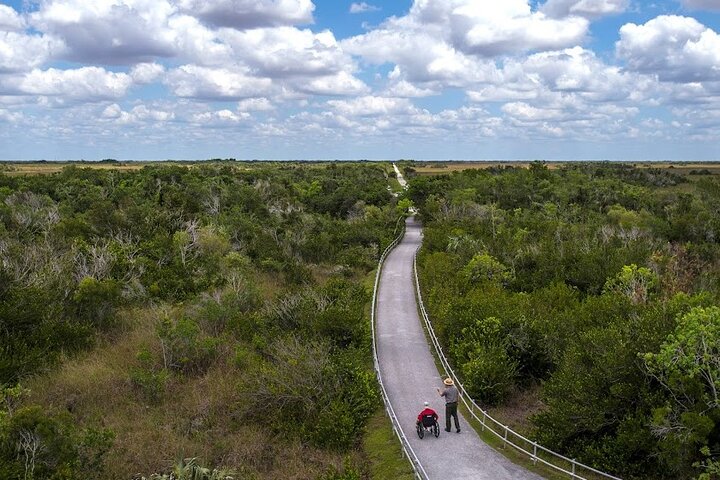 Erkunden Sie den einzigartigen Everglades National Park mit einer Airboat-Fahrt und einer Tierbeobachtungstour von Miami aus, Foto 9 | wizardtrip