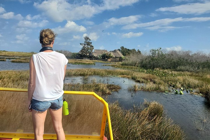 Erkunden Sie den einzigartigen Everglades National Park mit einer Airboat-Fahrt und einer Tierbeobachtungstour von Miami aus, Foto 12 | wizardtrip