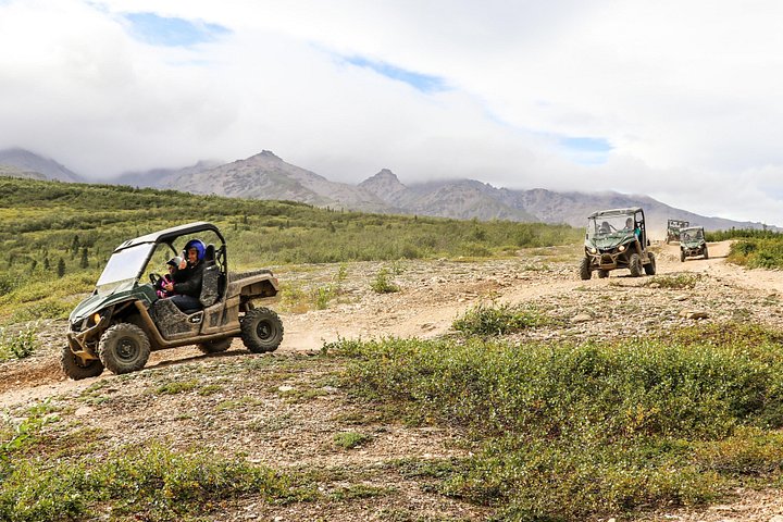 Oplev en spændende ATV-tur gennem Denali Nationalparks fantastiske vildmark, Alaska, foto 11 | wizardtrip