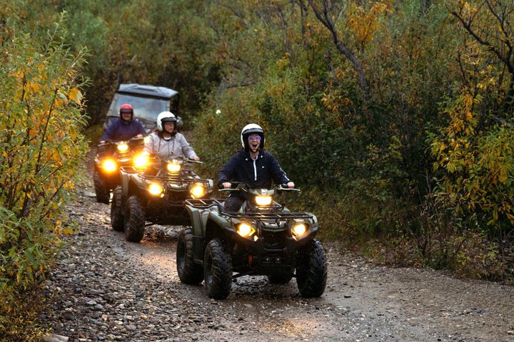 Geführte ATV-Tour durch die alaskanische Wildnis mit malerischen Ausblicken, Foto 6 | wizardtrip