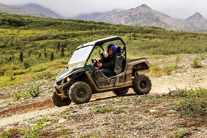 Geführte ATV-Tour durch die alaskanische Wildnis mit malerischen Ausblicken, Foto 13 | wizardtrip
