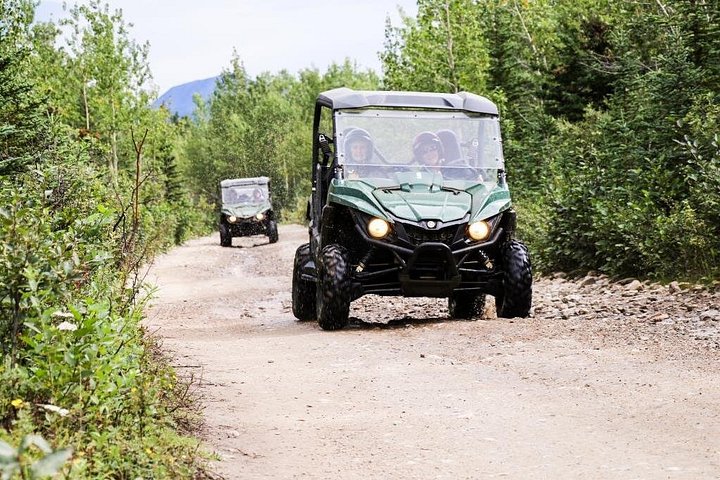 Geführte ATV-Tour durch die alaskanische Wildnis mit malerischen Ausblicken, Foto 14 | wizardtrip
