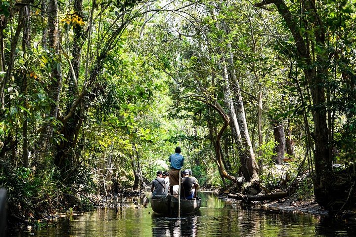 Kerala backwaters punting boat cruise with village visit and lunch in Cochin, photo 17 | wizardtrip