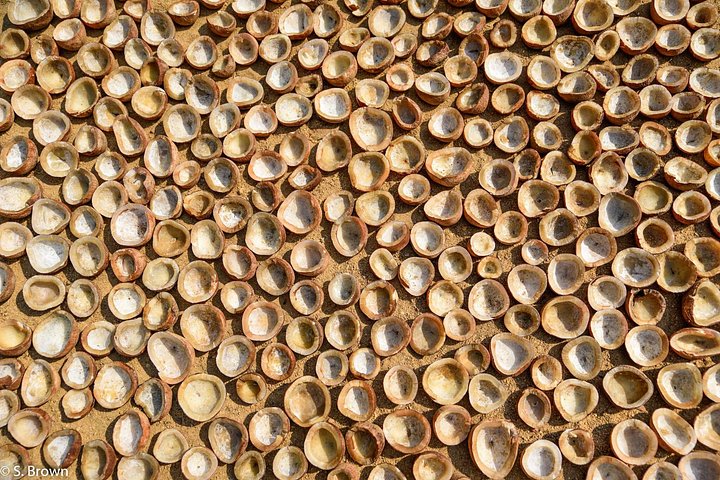 Kerala backwaters punting boat cruise with village visit and lunch in Cochin, photo 18 | wizardtrip