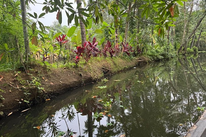 Kerala backwaters punting boat cruise with village visit and lunch in Cochin, photo 35 | wizardtrip