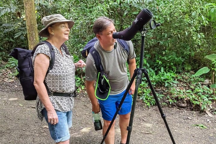 Visite guidée du Parc National Manuel Antonio, Costa Rica, observation de la faune et profitez de la plage, photo 8 | wizardtrip