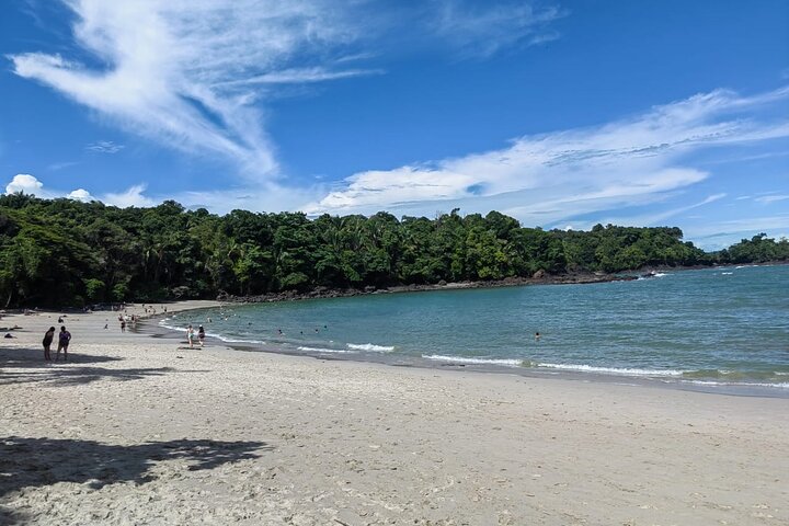 Visite guidée du Parc National Manuel Antonio, Costa Rica, observation de la faune et profitez de la plage, photo 11 | wizardtrip