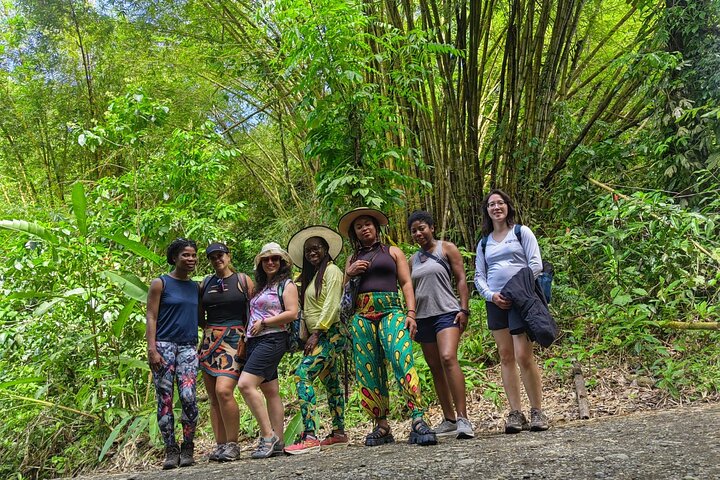 Visite guidée du Parc National Manuel Antonio, Costa Rica, observation de la faune et profitez de la plage, photo 30 | wizardtrip