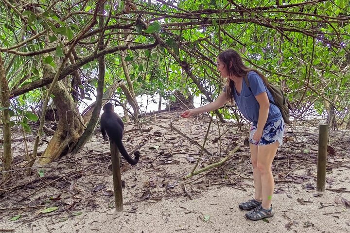 Visite guidée du Parc National Manuel Antonio, Costa Rica, observation de la faune et profitez de la plage, photo 36 | wizardtrip
