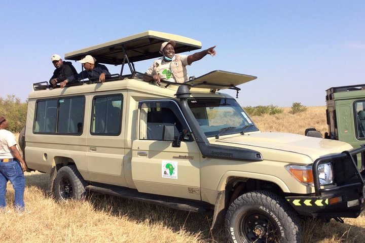 Nairobi National Park half-day tour featuring wildlife viewing and city skyline, photo 7 | wizardtrip