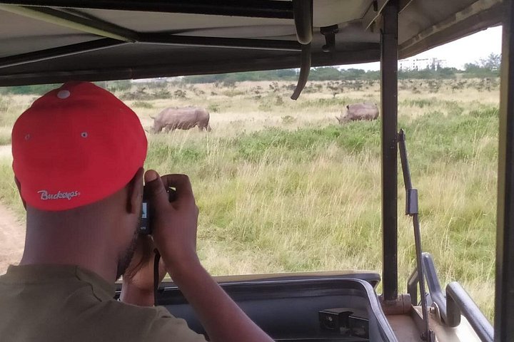 Nairobi National Park half-day tour featuring wildlife viewing and city skyline, photo 8 | wizardtrip