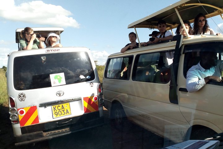 Nairobi National Park half-day tour featuring wildlife viewing and city skyline, photo 10 | wizardtrip