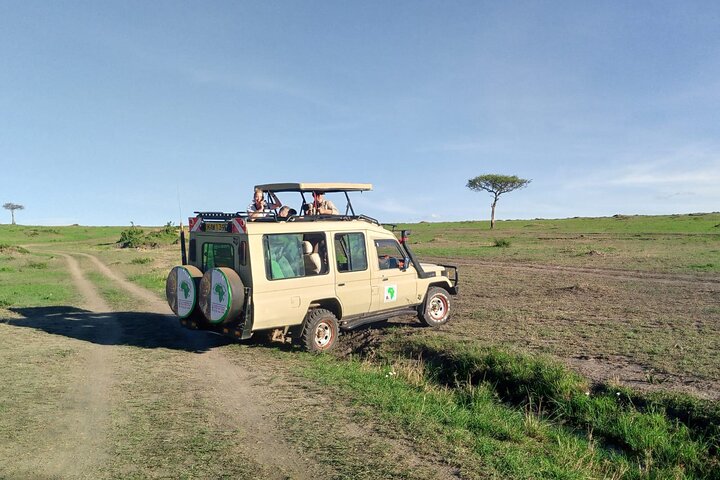 Nairobi National Park half-day tour featuring wildlife viewing and city skyline, photo 32 | wizardtrip