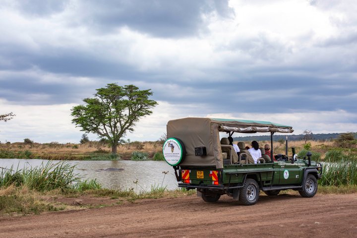 Nairobi National Park half-day tour featuring wildlife viewing and city skyline, photo 39 | wizardtrip