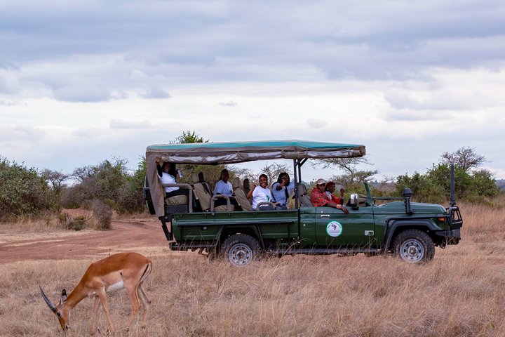 Safari i Nairobi nasjonalpark med dyreliv og bysilhuettutsikt, foto 6 | wizardtrip