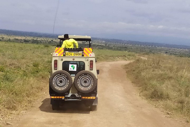 Safari i Nairobi nasjonalpark med dyreliv og bysilhuettutsikt, foto 10 | wizardtrip
