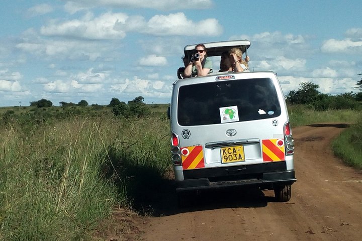 Safari i Nairobi nasjonalpark med dyreliv og bysilhuettutsikt, foto 14 | wizardtrip