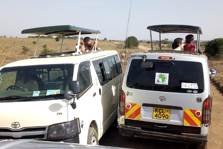 Safari i Nairobi nasjonalpark med dyreliv og bysilhuettutsikt, foto 18 | wizardtrip