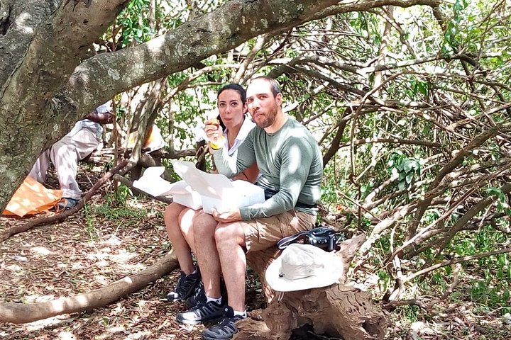 Safari i Nairobi nasjonalpark med dyreliv og bysilhuettutsikt, foto 19 | wizardtrip