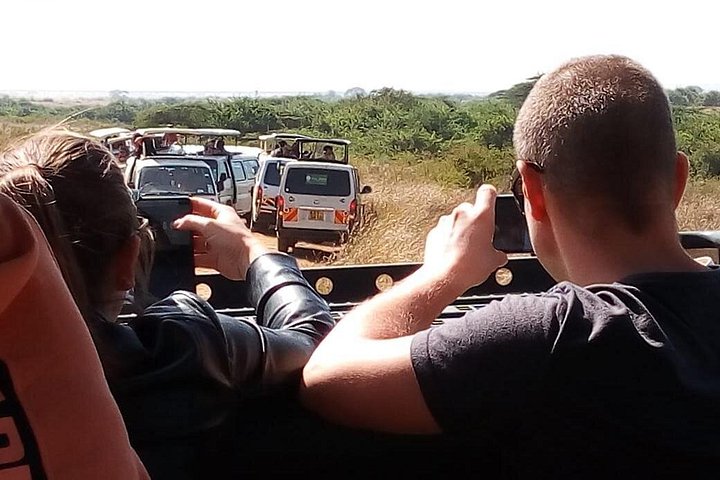 Safari i Nairobi nasjonalpark med dyreliv og bysilhuettutsikt, foto 28 | wizardtrip