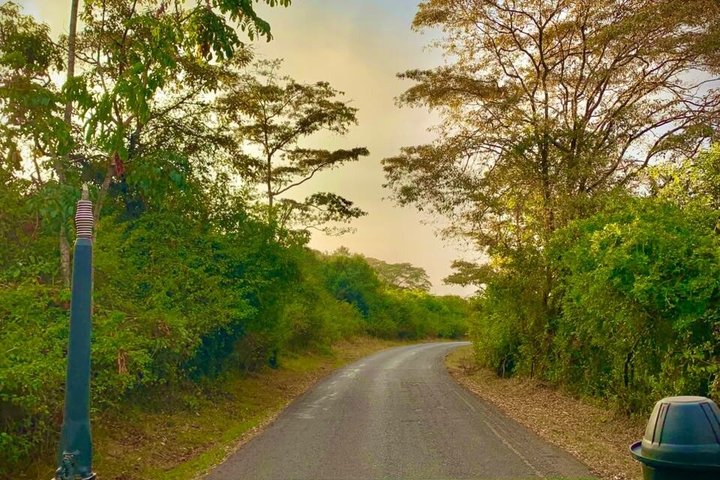 Safari i Nairobi nasjonalpark med dyreliv og bysilhuettutsikt, foto 49 | wizardtrip