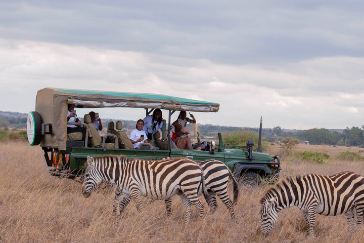 Safari i Nairobi nasjonalpark med dyreliv og bysilhuettutsikt, foto 50 | wizardtrip
