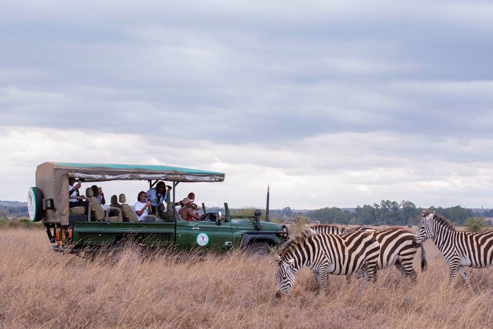 Safari i Nairobi nasjonalpark med dyreliv og bysilhuettutsikt, foto 51 | wizardtrip