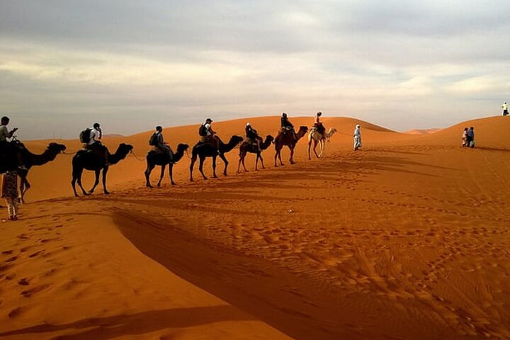 Vivez un safari désert palpitant à Doha avec franchissement de dunes, balades à dos de chameau et sandboard, photo 6 | wizardtrip