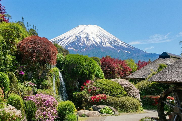 Full day tour to Mount Fuji from Tokyo, visiting lakes and scenic spots, photo 8 | wizardtrip