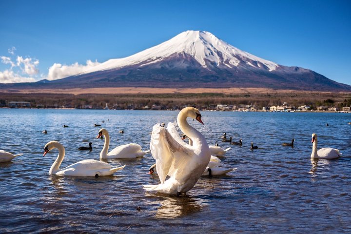 Full day tour to Mount Fuji from Tokyo, visiting lakes and scenic spots, photo 13 | wizardtrip