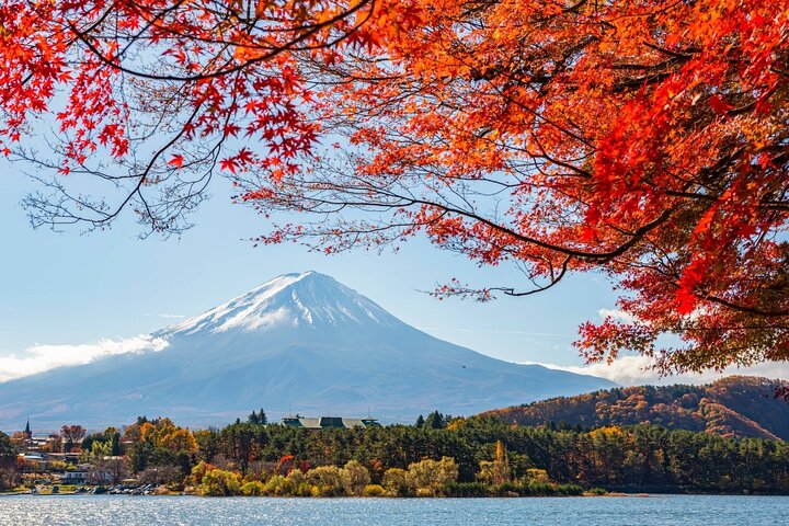 Full day tour to Mount Fuji from Tokyo, visiting lakes and scenic spots, photo 15 | wizardtrip