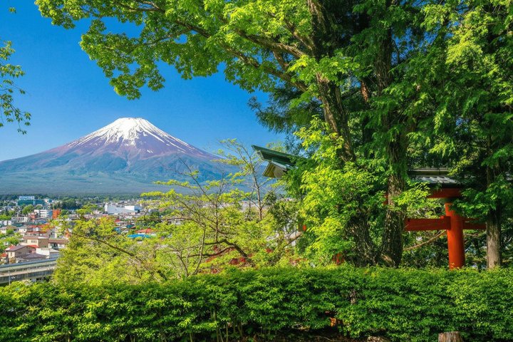 Full day tour to Mount Fuji from Tokyo, visiting lakes and scenic spots, photo 16 | wizardtrip