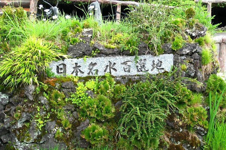 Full day tour to Mount Fuji from Tokyo, visiting lakes and scenic spots, photo 25 | wizardtrip