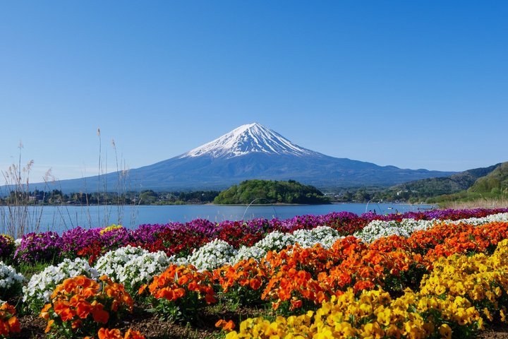 Full day tour to Mount Fuji from Tokyo, visiting lakes and scenic spots, photo 30 | wizardtrip