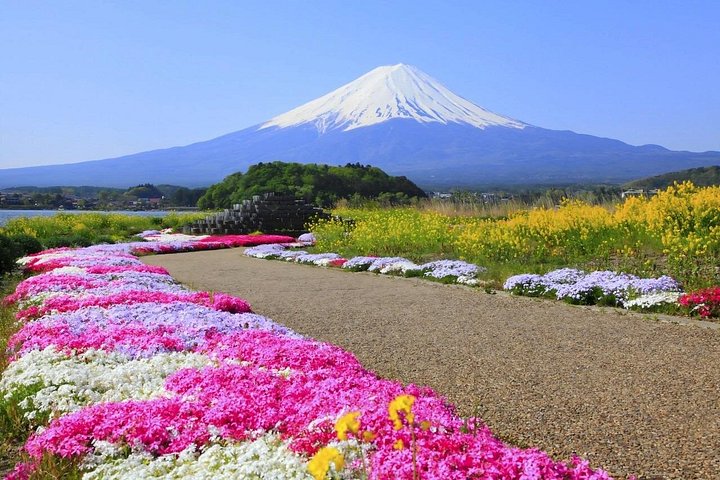 Full day tour to Mount Fuji from Tokyo, visiting lakes and scenic spots, photo 33 | wizardtrip